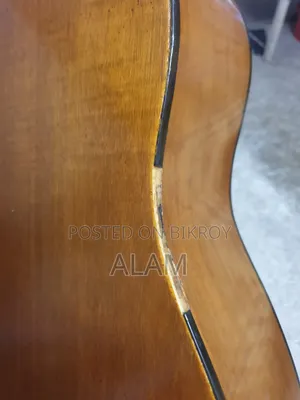 Yamaha F310
