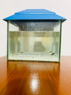Aquarium Fish