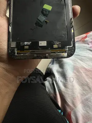 13 Pro Max DD Display