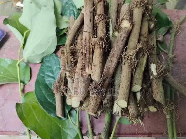 Chuijhal of Khulna