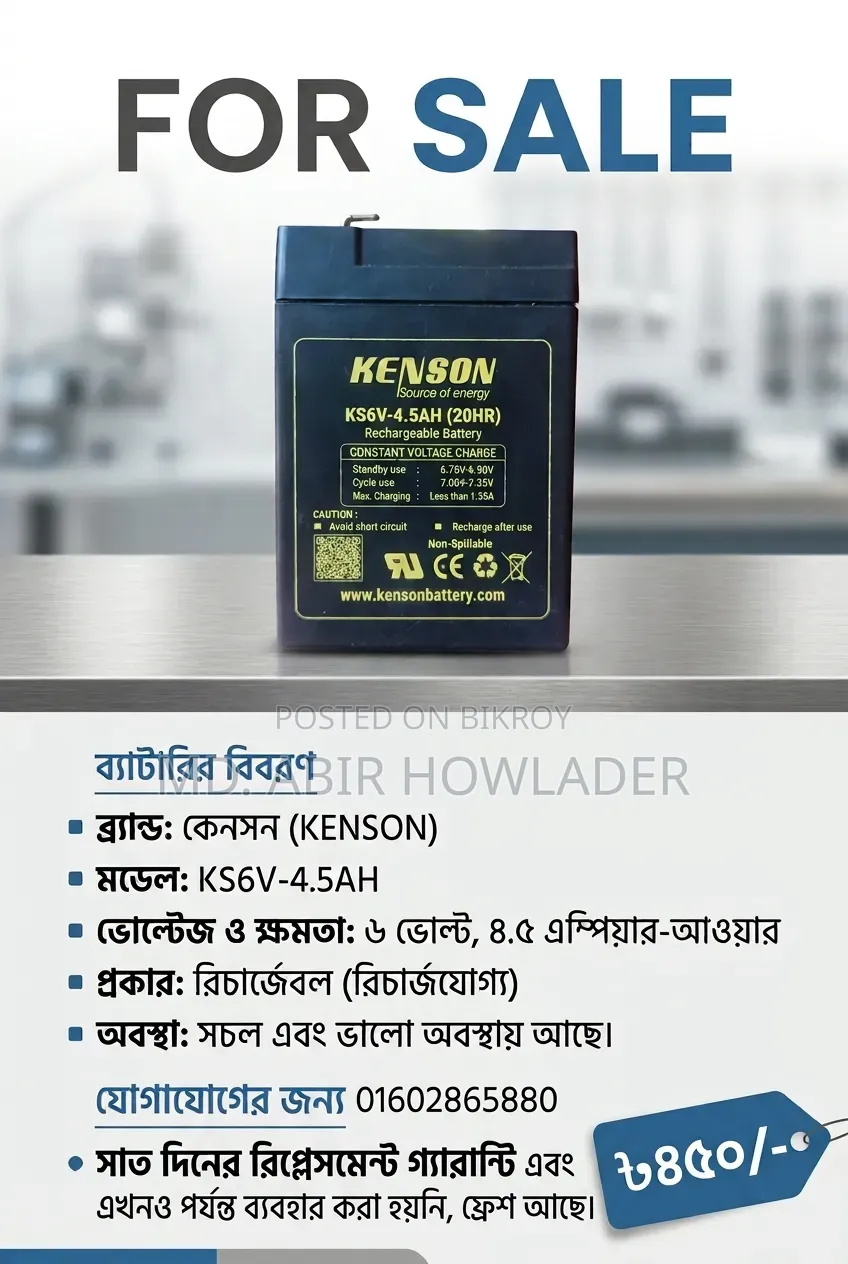 6 Volt Battery