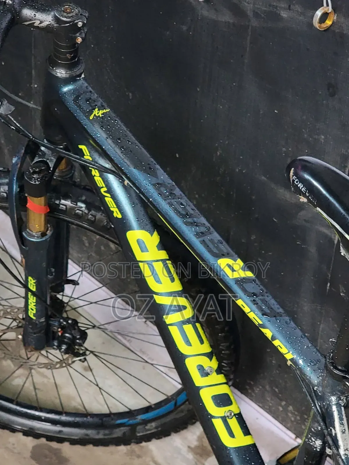 Forever Cycle