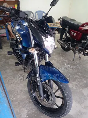 ইয়ামাহা এফজেডএস ভি২ ২০২৪ নীল