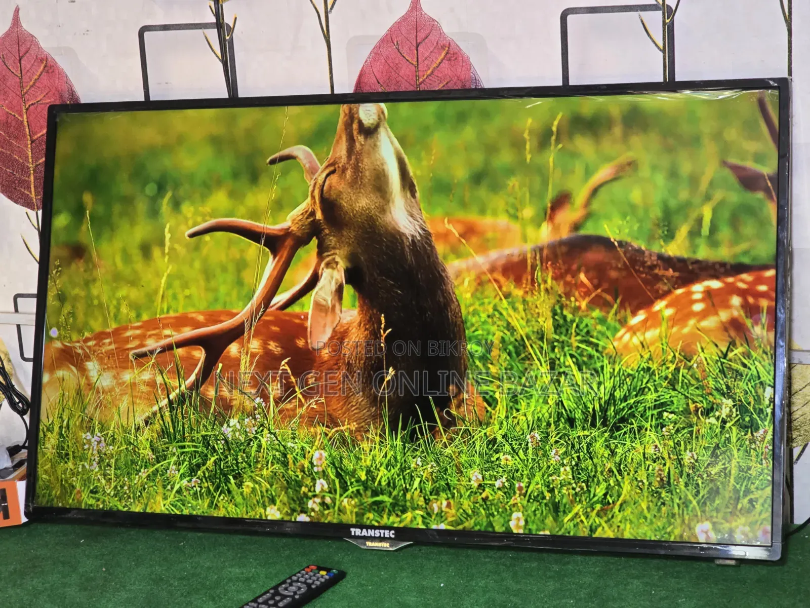 Transtec 40" TV + Google TV Box (Voice)