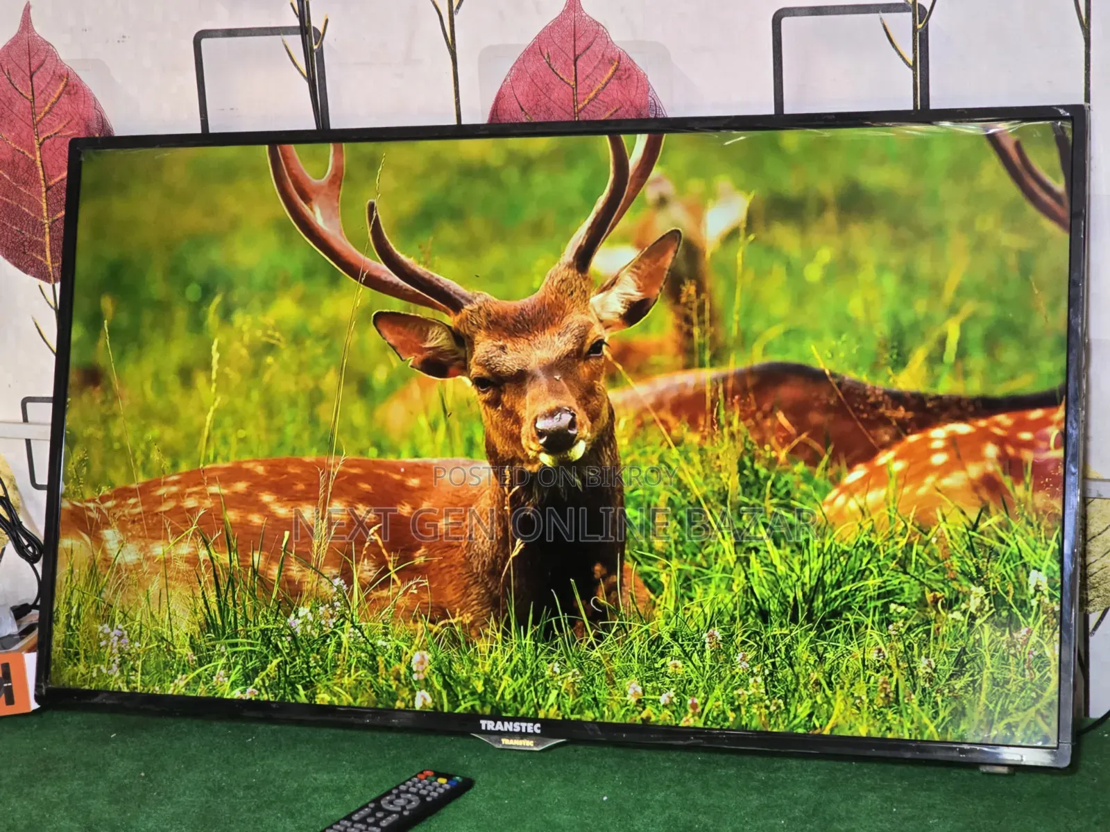 Transtec 40" TV + Google TV Box (Voice)