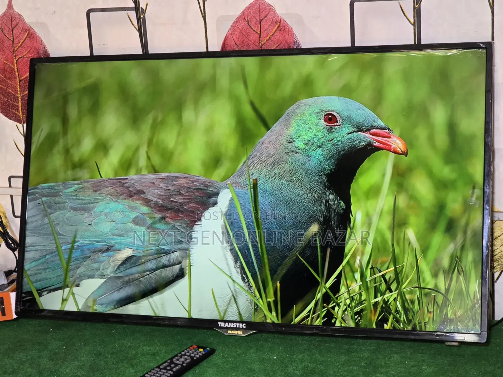 Transtec 40" TV + Google TV Box (Voice)