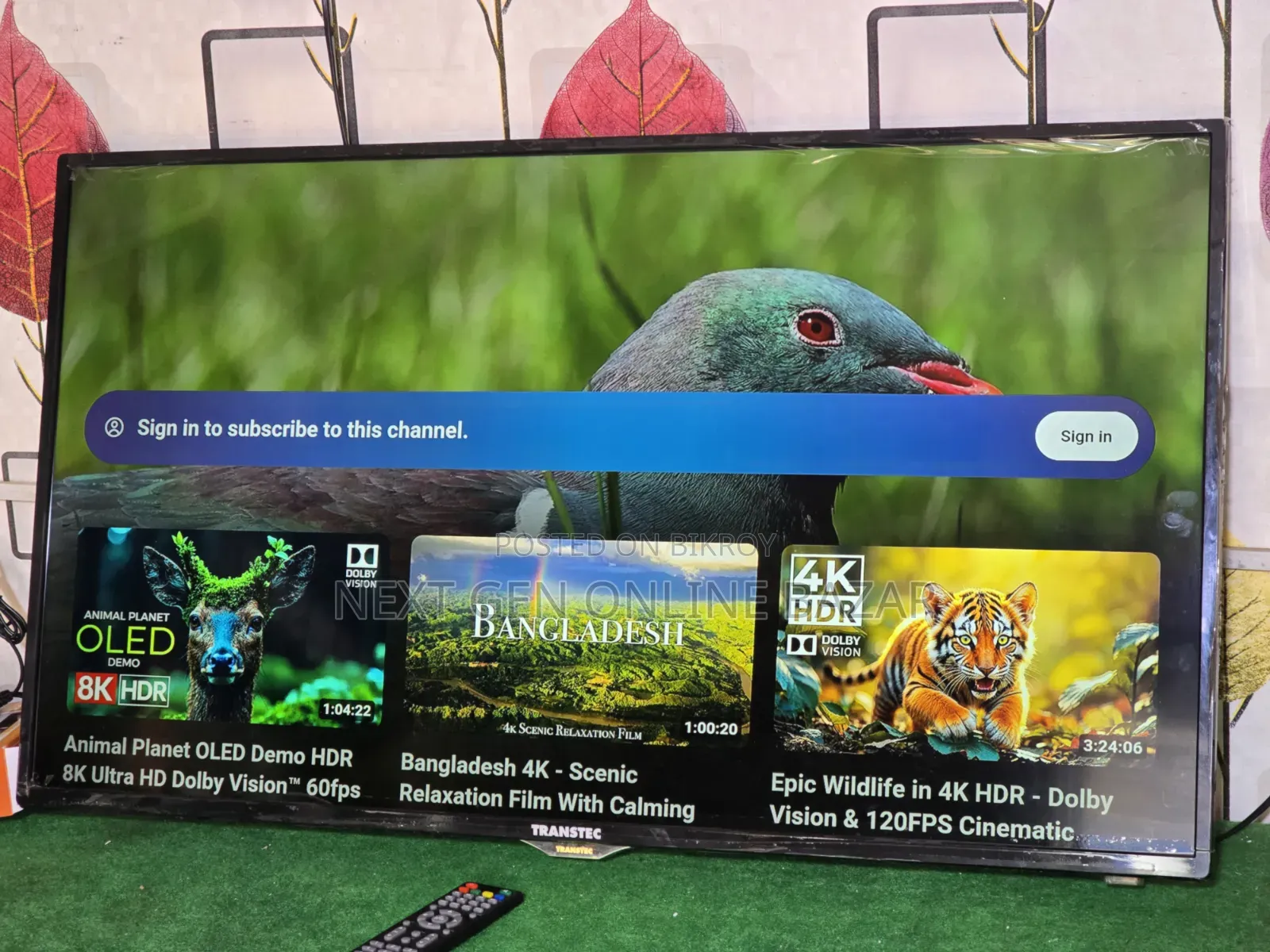 Transtec 40" TV + Google TV Box (Voice)