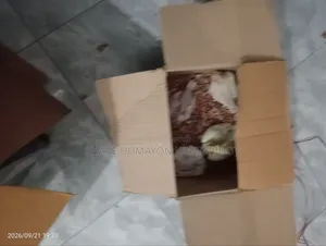 ককাটেল বেবি