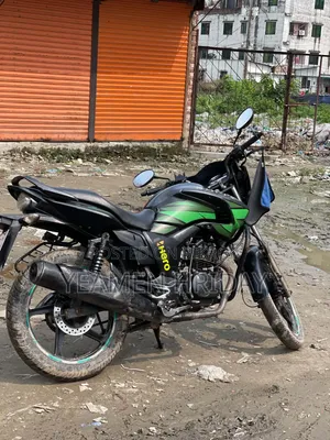 Hero Hunk 150 2014 Green