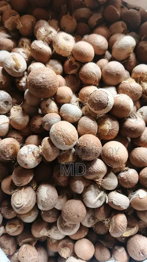 Good dry betel nuts from Noakhali are available, contact if needed