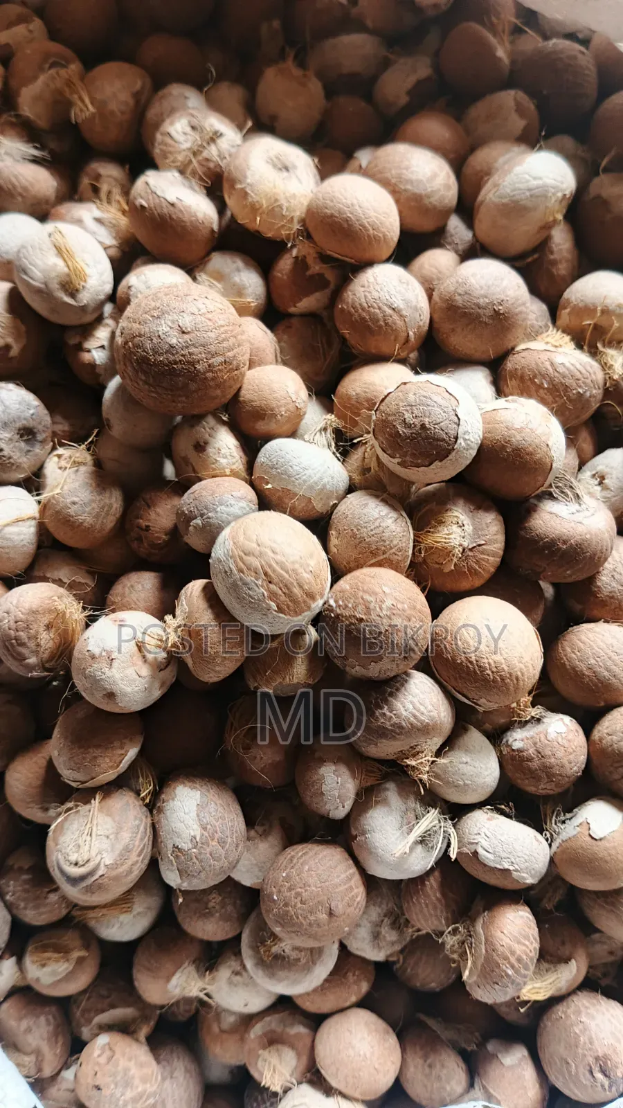 Good dry betel nuts from Noakhali are available, contact if needed