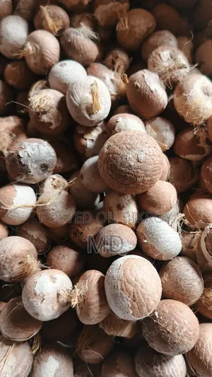 Good dry betel nuts from Noakhali are available, contact if needed