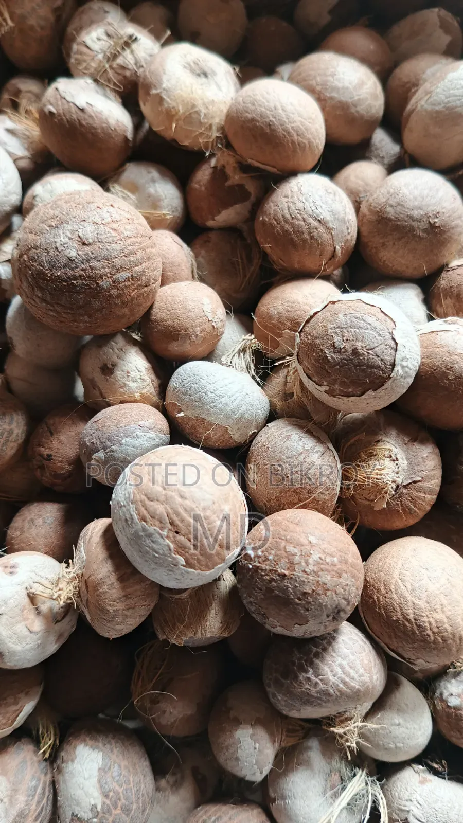 Good dry betel nuts from Noakhali are available, contact if needed