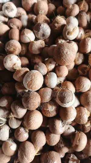Good dry betel nuts from Noakhali are available, contact if needed