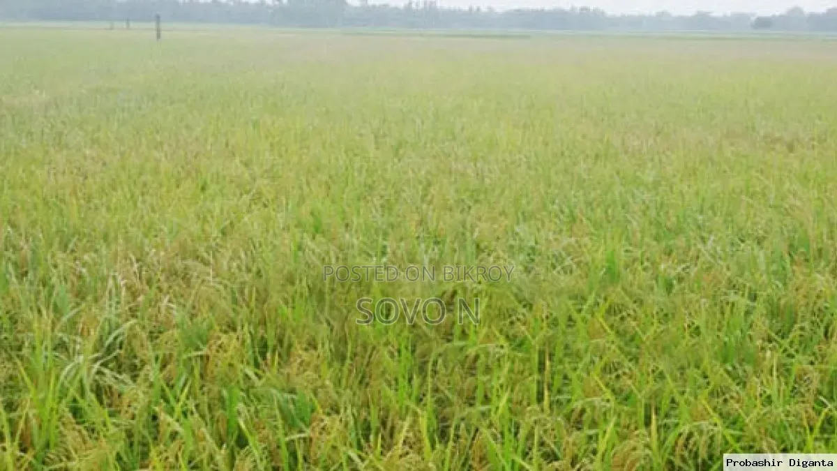 Land for Sale