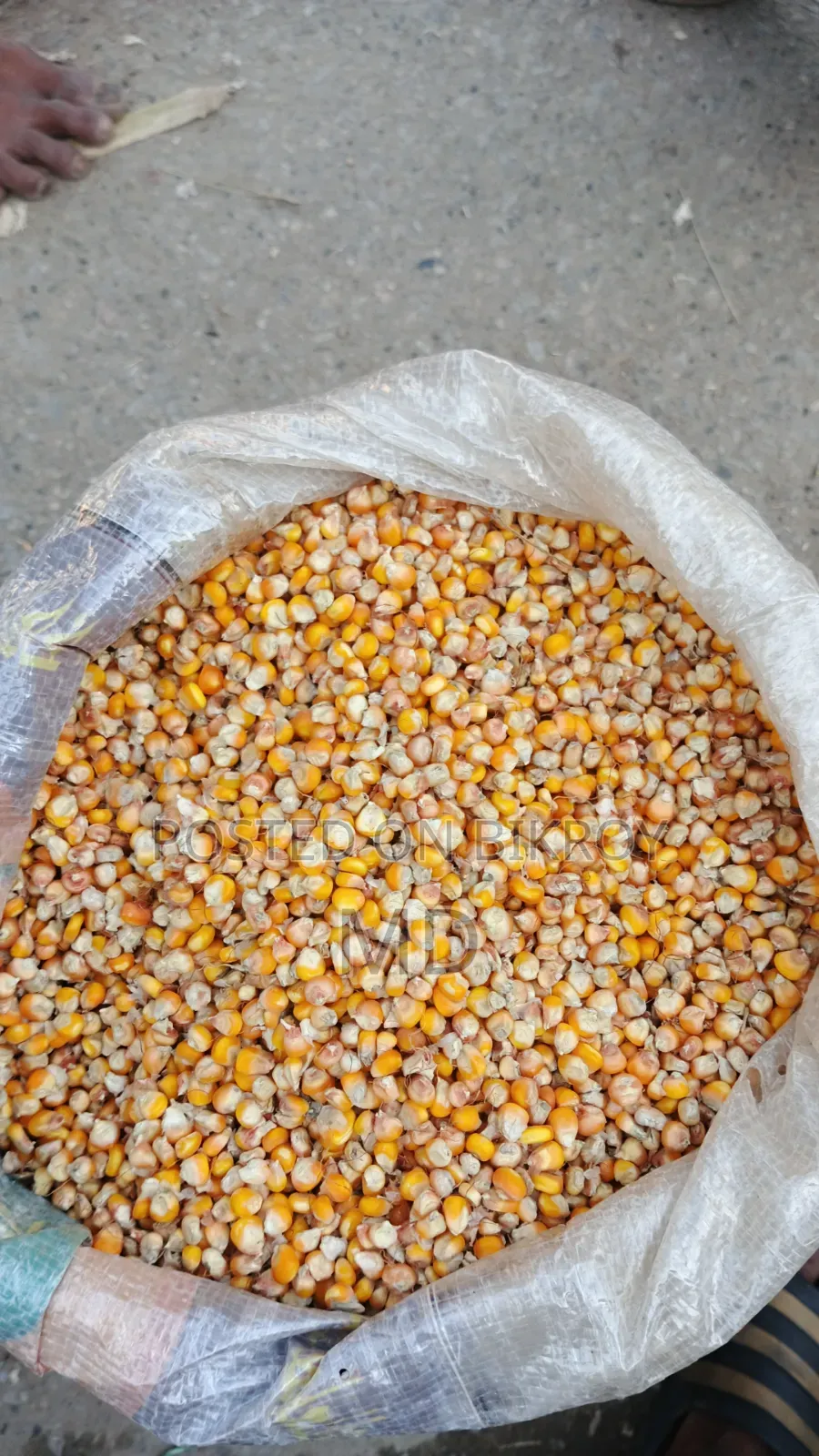 Good quality corn is available, contact if needed