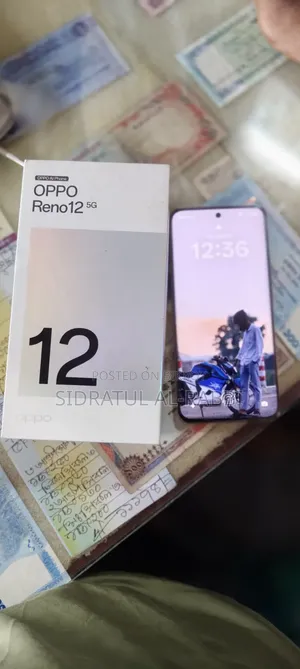 অপ্পো রেনো ২৫৬ জিবি সিলভার
