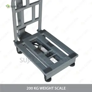 200 Kg Heavy Duty Digital Platform Weight Scale MS SS Heavy Body
