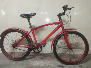 24 Inch Cycle for Sale Full Fresh.