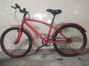 24 Inch Cycle for Sale Full Fresh.