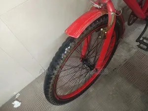 24 Inch Cycle for Sale Full Fresh.