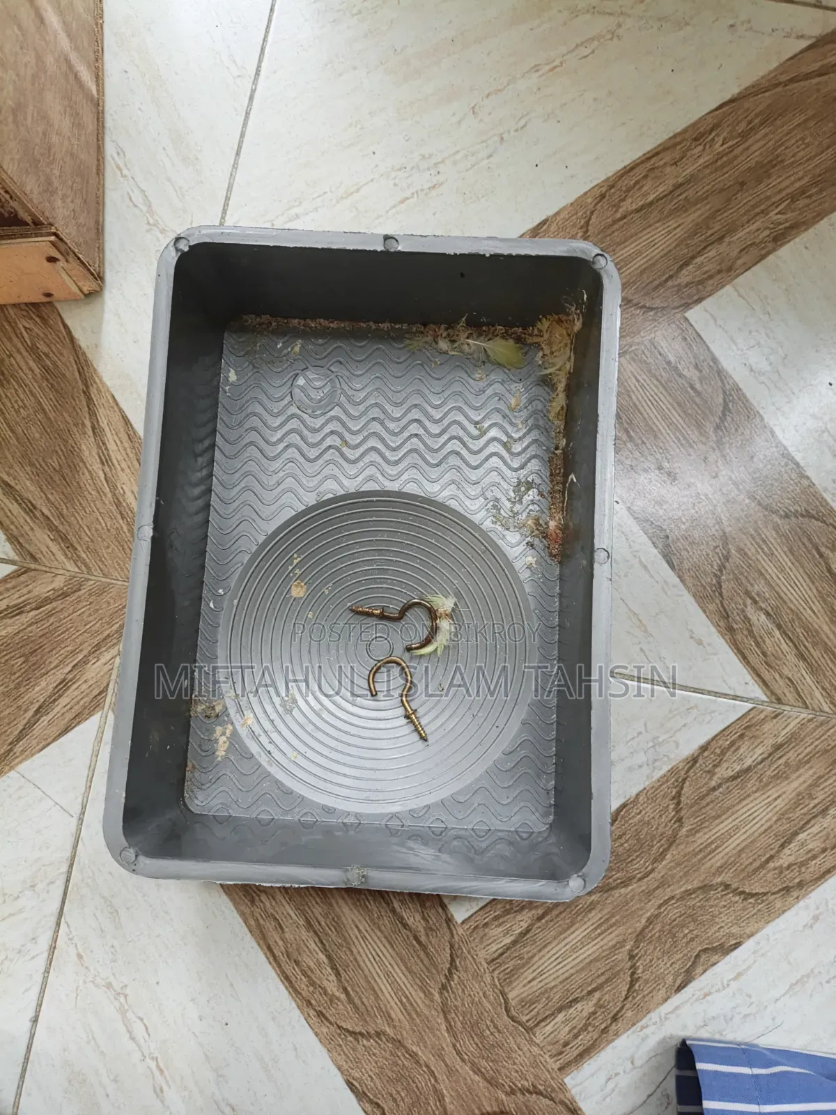 Love Bird Breeding Box
