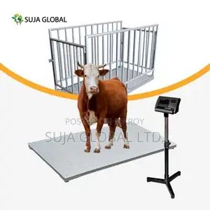 SG-1020-2TF Cow Weight Scale