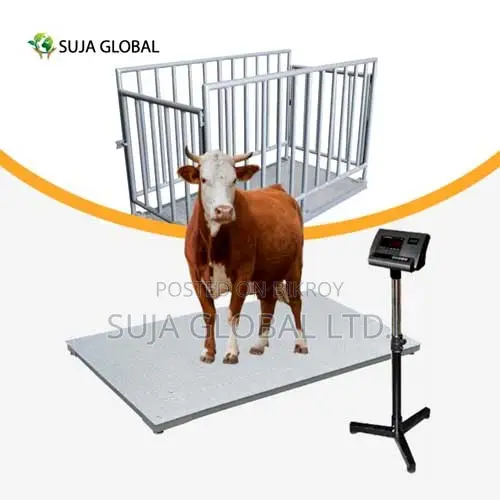 SG-1020-2TF Cow Weight Scale