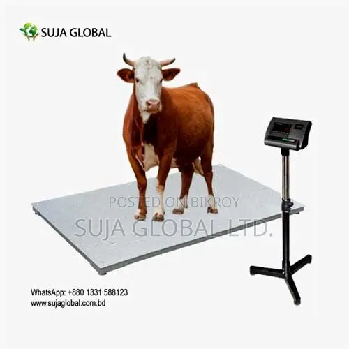 SG-1020-2TF Cow Weight Scale