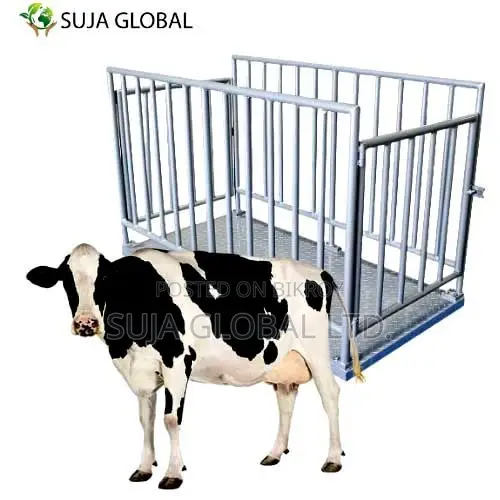 SG-1020-2TF Cow Weight Scale