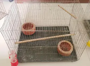 কমপ্লিট সেটআপসহ ব্যবহৃত খাঁচা বিক্রি করা হবে