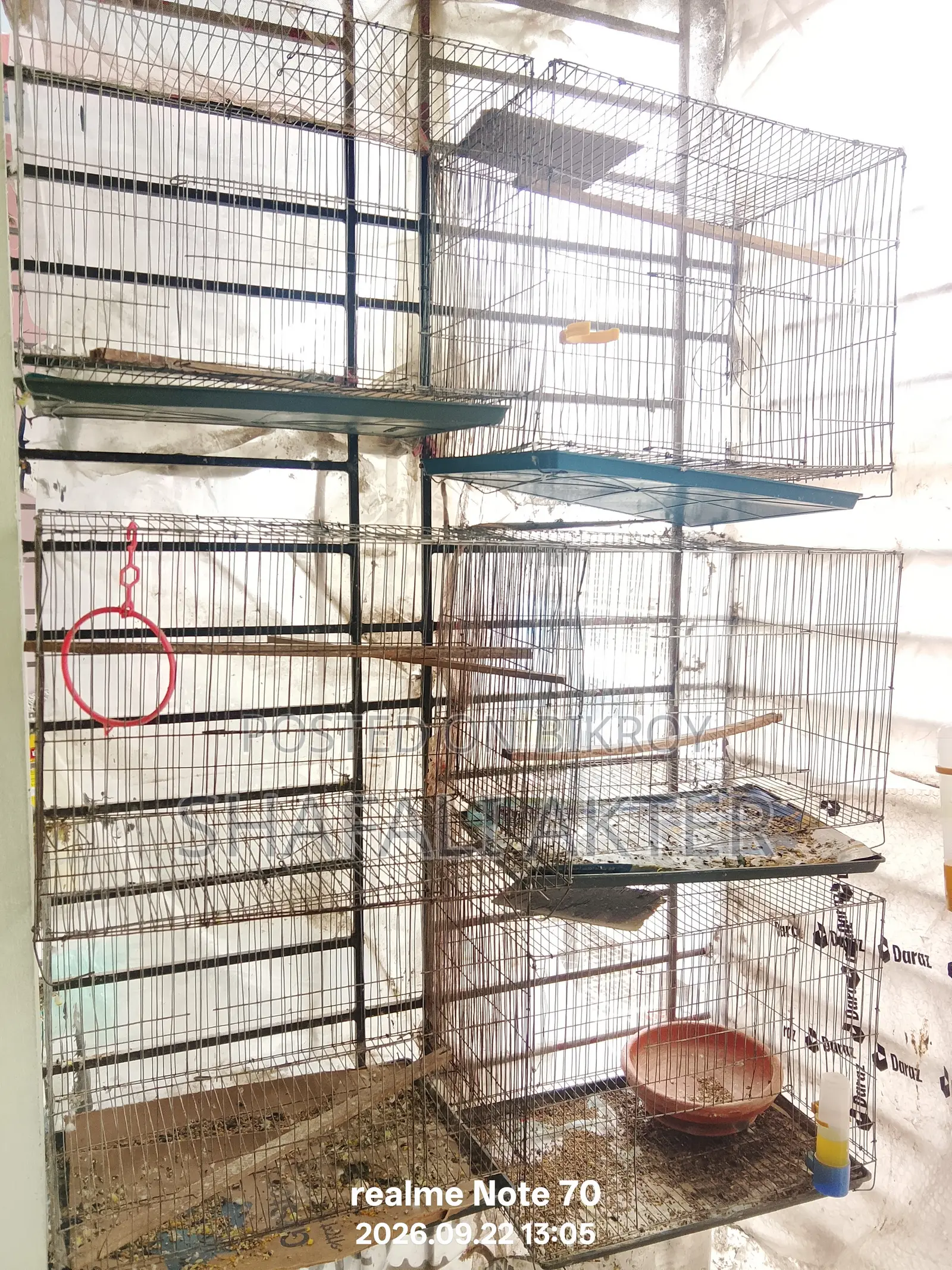 কমপ্লিট সেটআপসহ ব্যবহৃত খাঁচা বিক্রি করা হবে