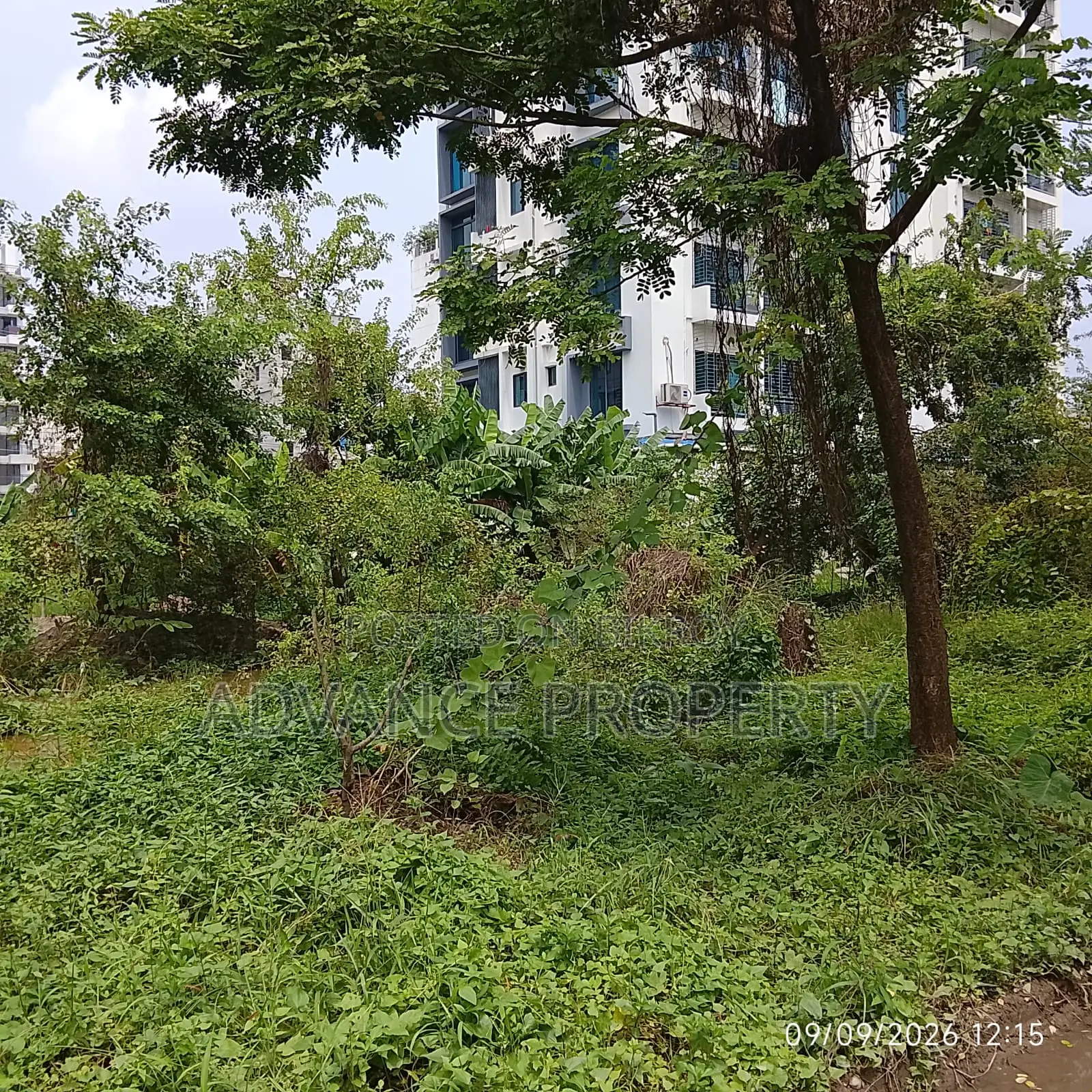 Plot for Sale at Block-L, South Facing