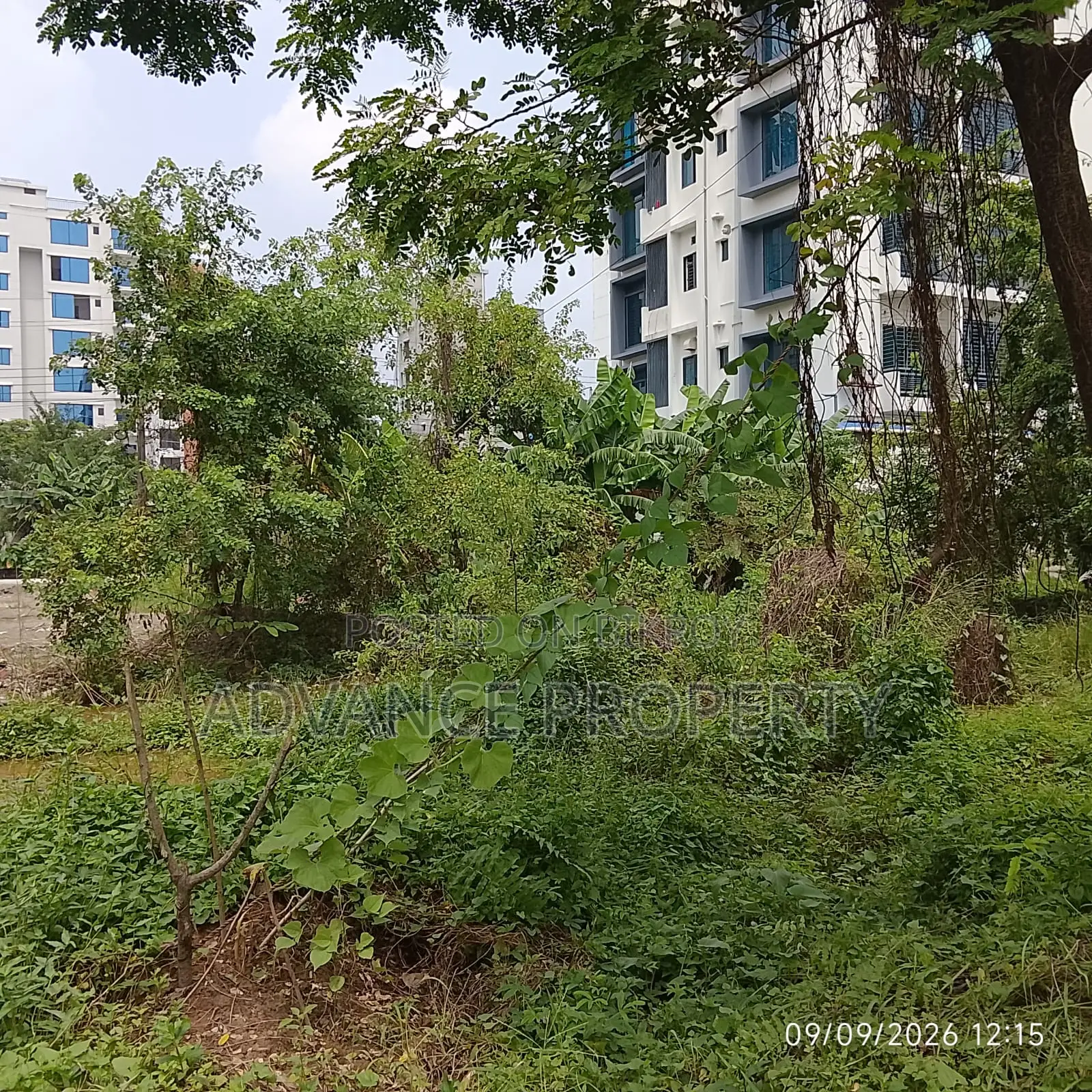 Plot for Sale at Block-L, South Facing