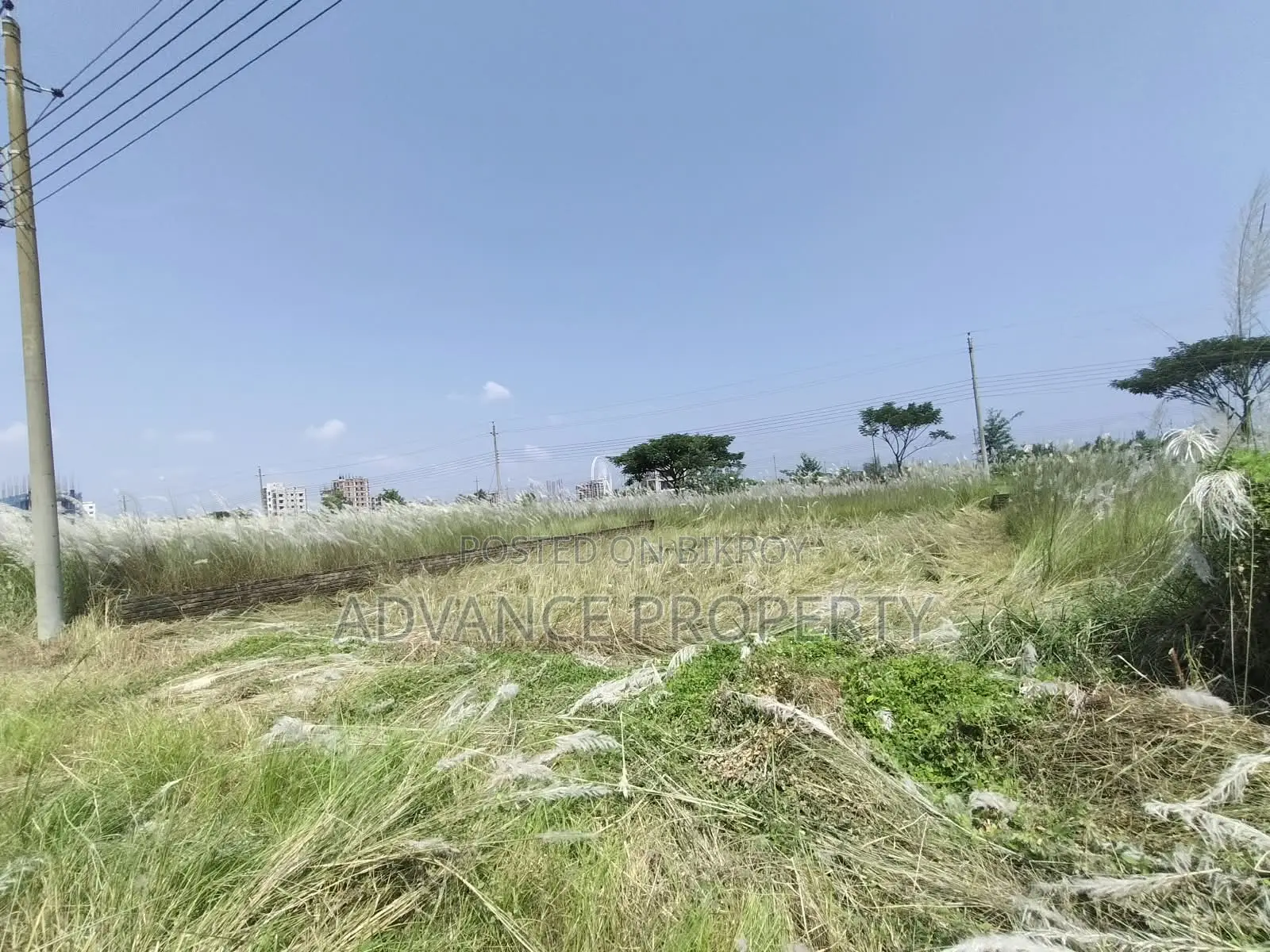Plot for Sale at Block-N, South Facing
