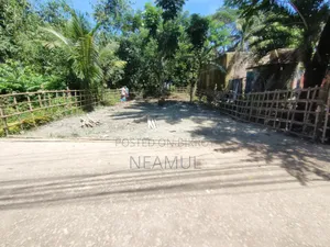 3 Decimal Land Attached to Main Road