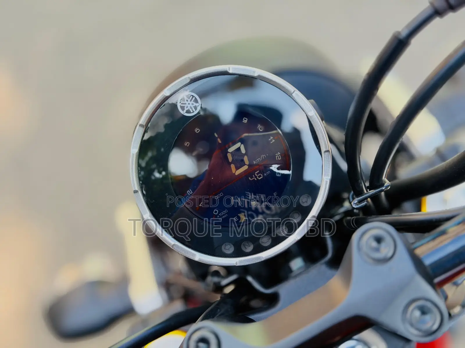 Yamaha XSR700 2026 White