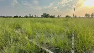 ১০ কাঠার দক্ষিণমুখী ও লেক সংলগ্ন সম্পূর্ণ রেডি কর্নার প্লট বিক্রি হবে!