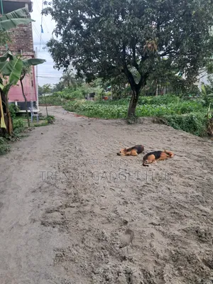 কাগজপত্র আপটুডেট ফ্রেশ জমি সরাসরি মালিকের থেকে নিতে পারবেন