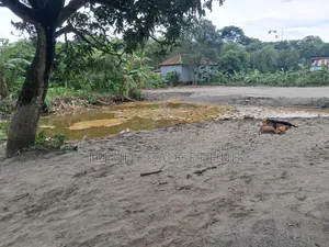 কাগজপত্র আপটুডেট ফ্রেশ জমি সরাসরি মালিকের থেকে নিতে পারবেন