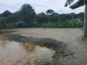 কাগজপত্র আপটুডেট ফ্রেশ জমি সরাসরি মালিকের থেকে নিতে পারবেন