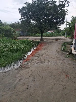 কাগজপত্র আপটুডেট ফ্রেশ জমি সরাসরি মালিকের থেকে নিতে পারবেন