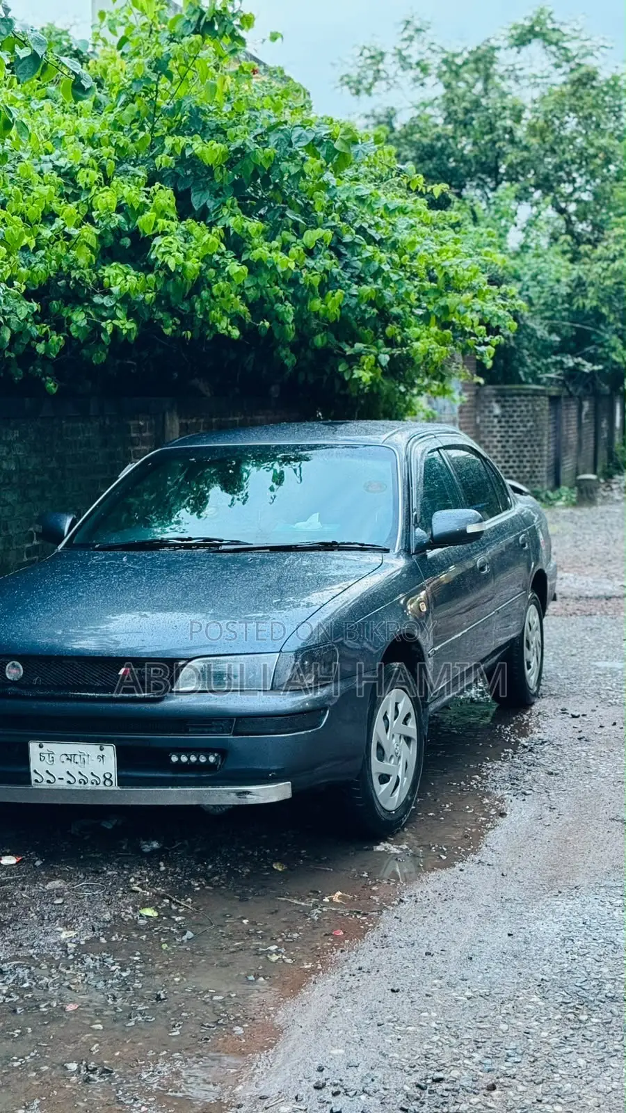Toyota Corolla Sedan 1994 Gray