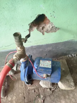 পেড্রলো মোটর ১এইচপি