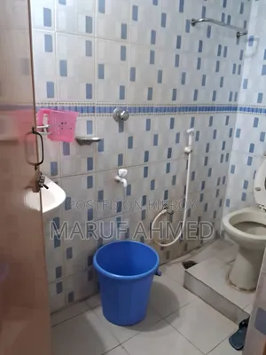 মিরপুরে সাজানো মিনি ফ্ল্যাট বিক্রয়
