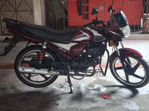 রানার চিতা ১০০ ২০২২ লাল