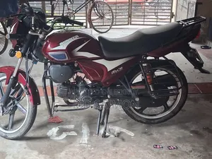 রানার চিতা ১০০ ২০২২ লাল