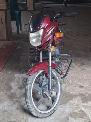 রানার চিতা ১০০ ২০২২ লাল