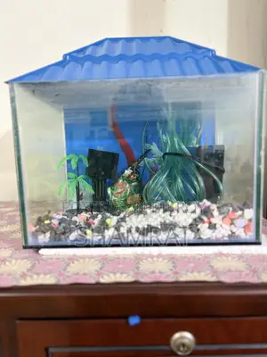 টপ ক্যাপসহ গ্লাস একুরিয়াম ও আনুষঙ্গিক সেট