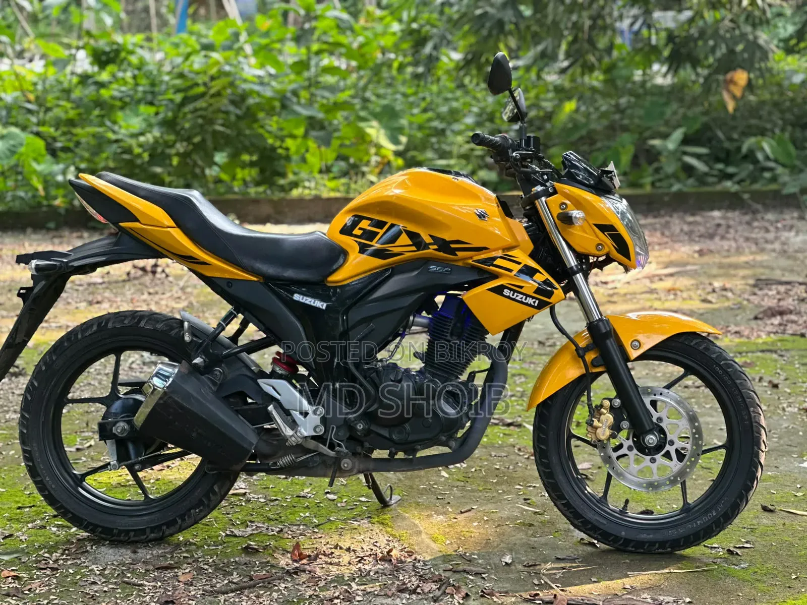 নতুন সুজুকি জিক্সার ২০২৫ হলুদ